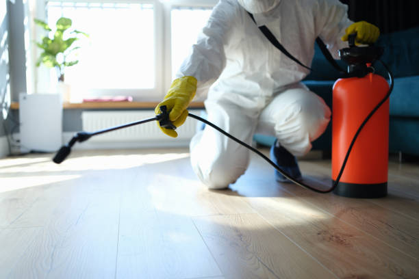 Reliable Biohazard Cleanup contractor in Mountain Ranch, CA by Trauma Clean Pros